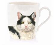 mugg-katt.jpg