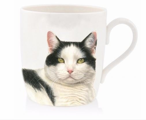 mugg-katt.jpg