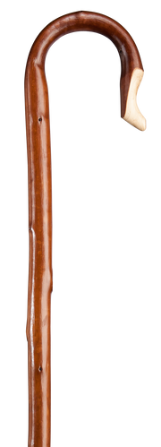 Herdestav kastanj - ljus bark