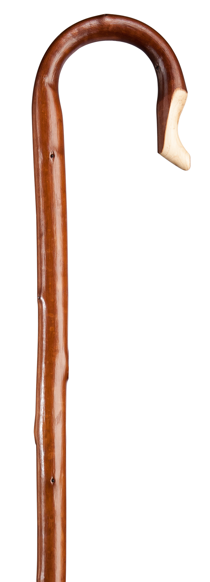 Herdestav kastanj - ljus bark