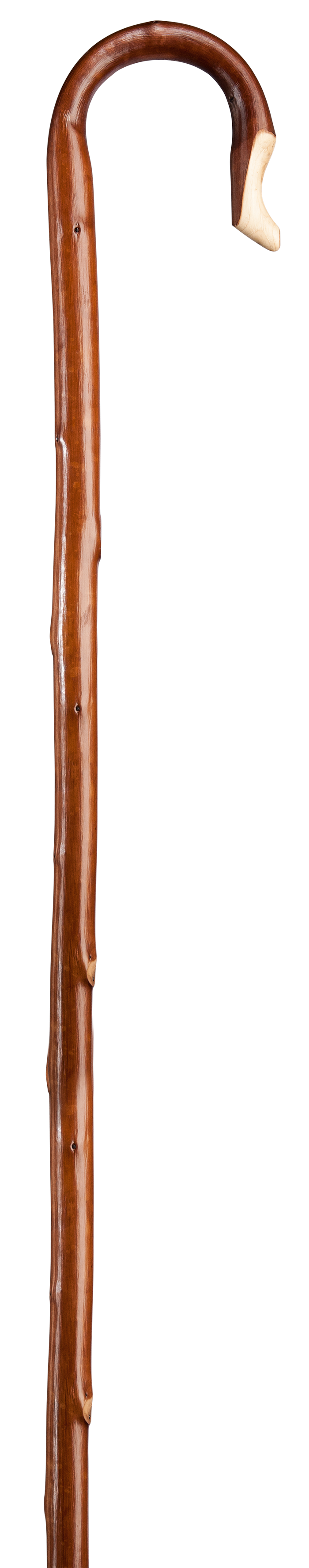 Herdestav kastanj - ljus bark