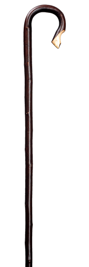 Herdestav kastanj - mörk bark