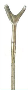 2403-copy.jpg