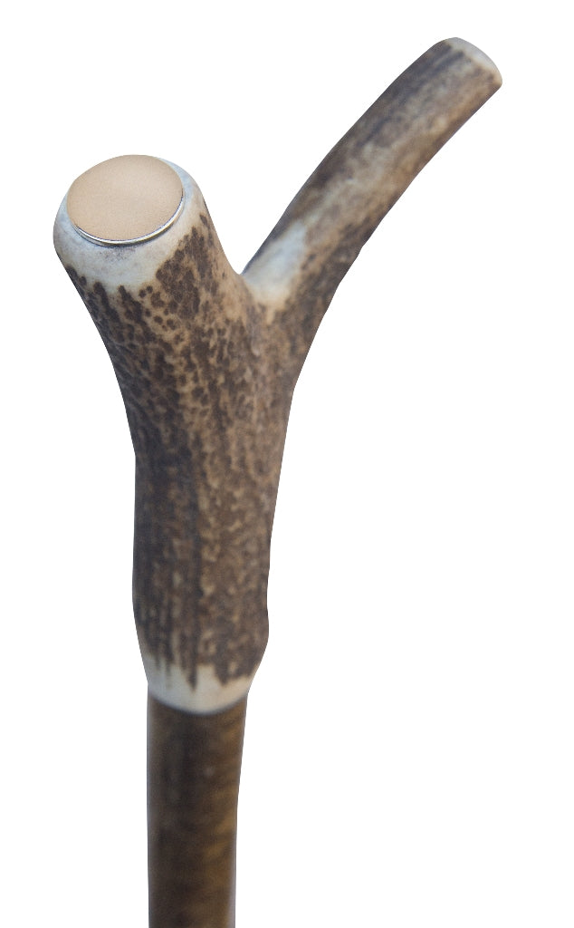 2403m-detail-2.jpg