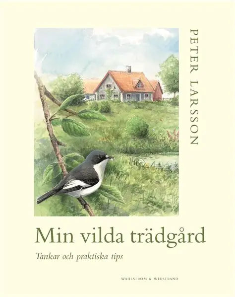 Min vilda trädgård - tankar och praktiska tips