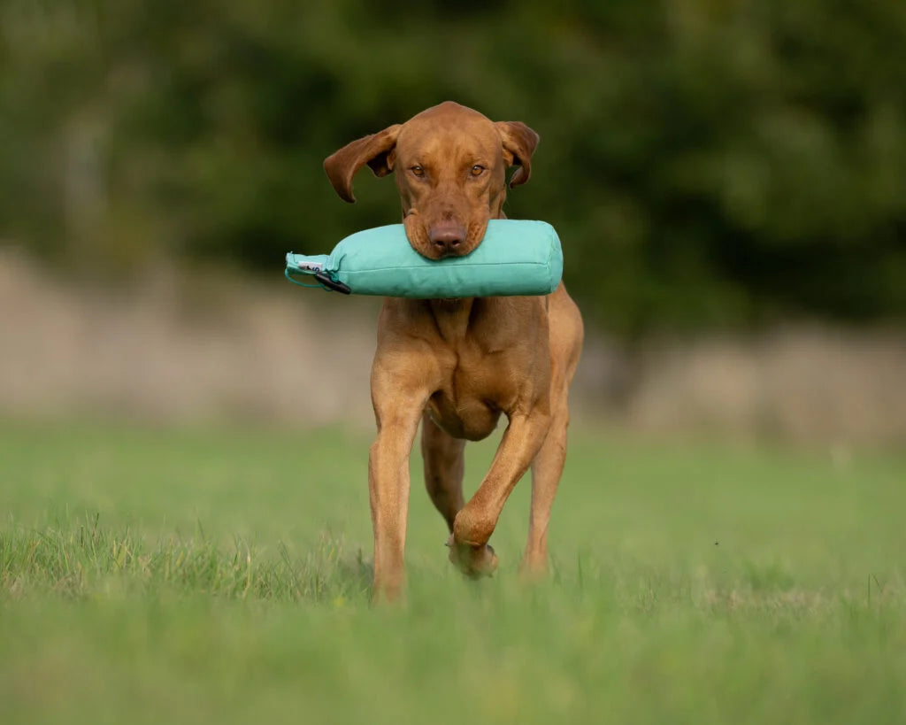 Dummy - 1,5 kg
