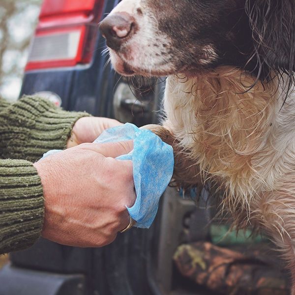 animology-clean-sheets-80-pack-dog-wipes.jpg