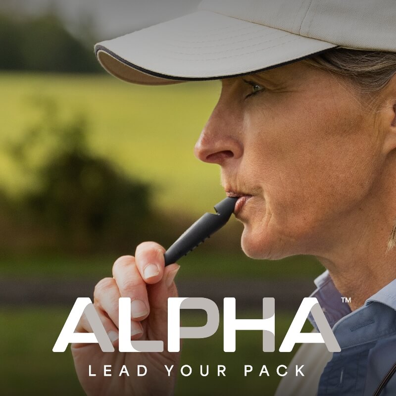 banner_alpha3.jpg