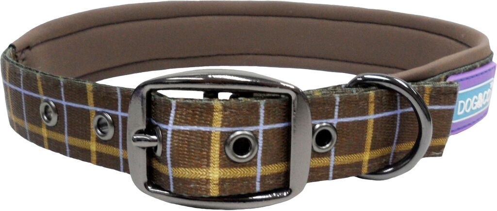 brown_check_collar.jpg