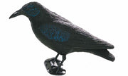 bulvan-raka.jpg