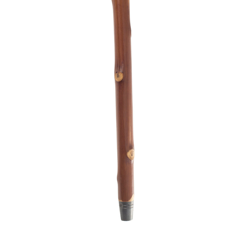 Herdestav kastanj - ljus bark