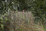 clear_view4.jpg