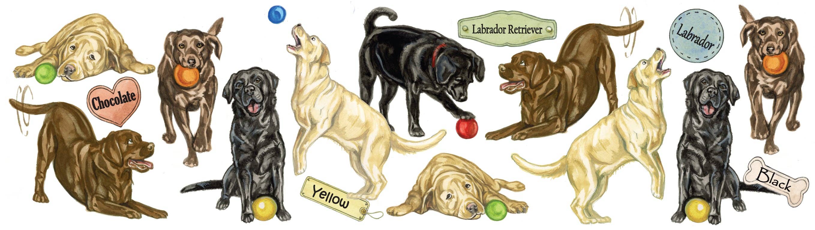 Mugg med hundmotiv - Labrador