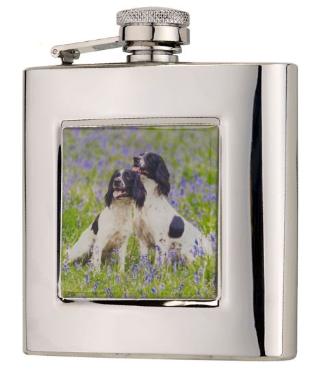 fickplunta-springer-spaniel.jpg