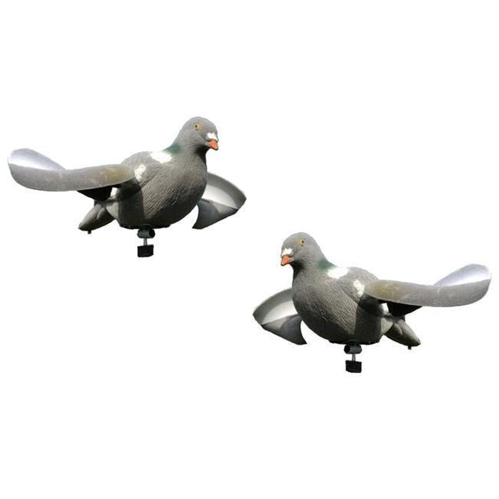 fl.jpg