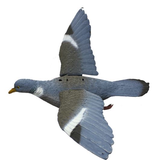 flappersportplast.jpg