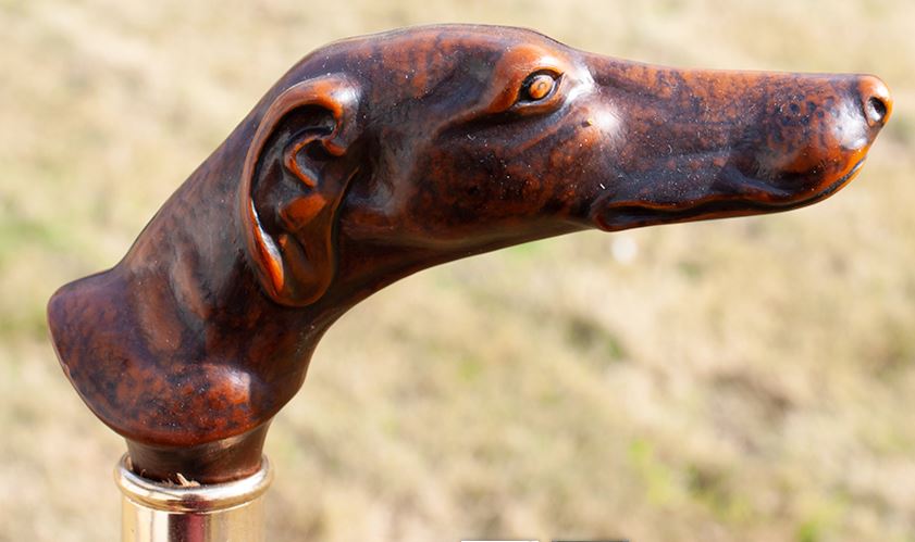 greyhound2.jpg