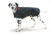 hunter-coat-green-on-dog.jpg