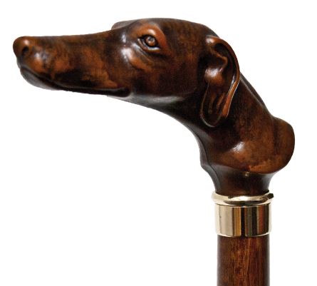 kappgreyhound.jpg