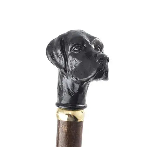 Classic Canes Promenadkäpp - labrador retriever