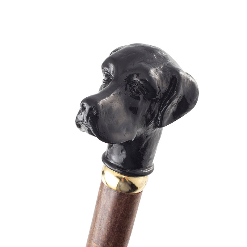 Classic Canes Promenadkäpp - labrador retriever