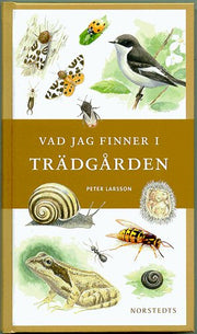 larsson-tradgarden.jpg