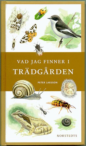 larsson-tradgarden.jpg