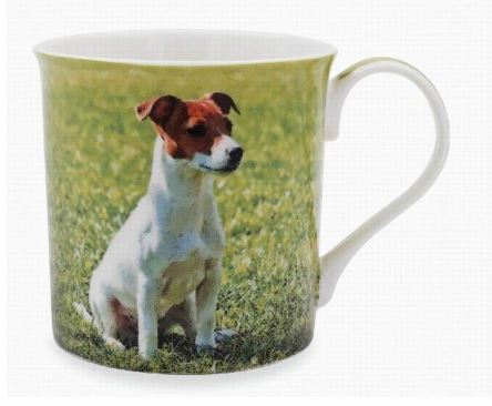 mugg-jack-russel.jpg