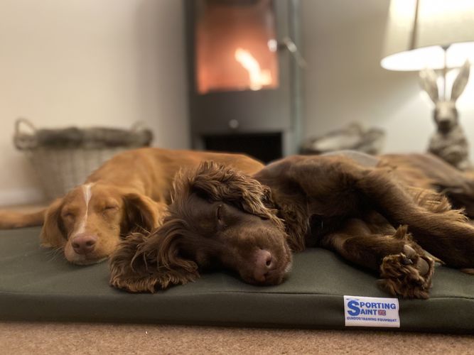 multi_use_dog_bed_-_spaniels_large.jpg