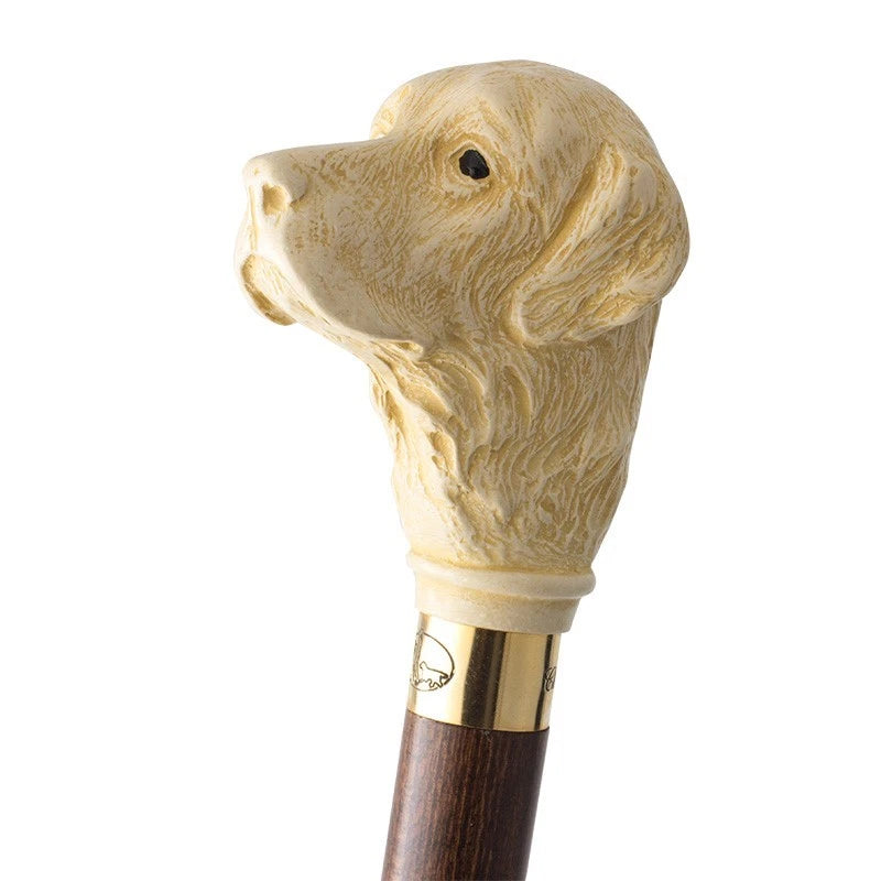 Promenadkäpp - Golden retriever