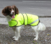 safety-coat-flo-yellow-on-dog-2.jpg