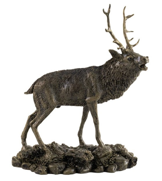 stag1.jpg