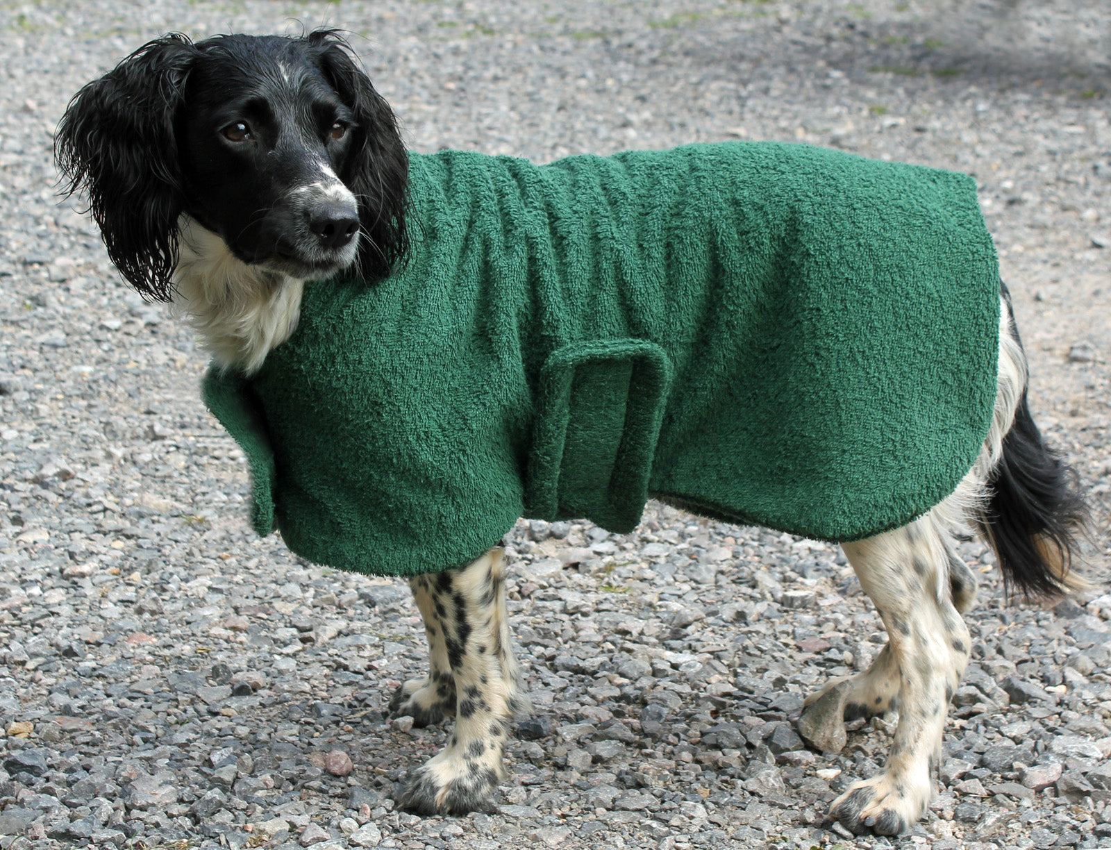 towelling-coat-green-2.jpg
