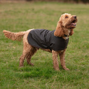wax-dog-coat-model.jpg